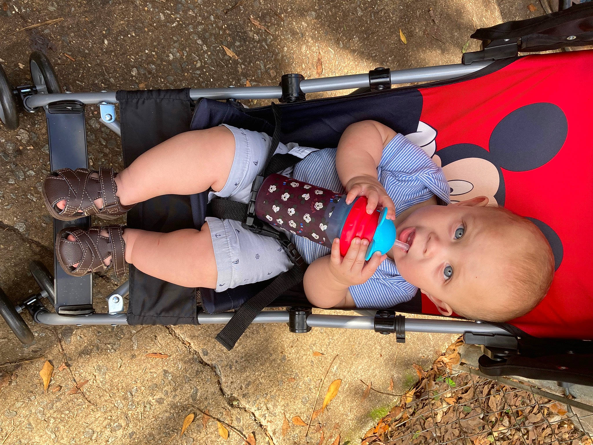 Josiah is registered to the contest to win money with this photo: baby, baby_toddler_clothing, bag, boot, child, fun, grass, hand, human_leg, knee, leg, leisure, luggage_and_bags, person, personal_protective_equipment, recreation, shorts, sneakers, thigh, toddler
