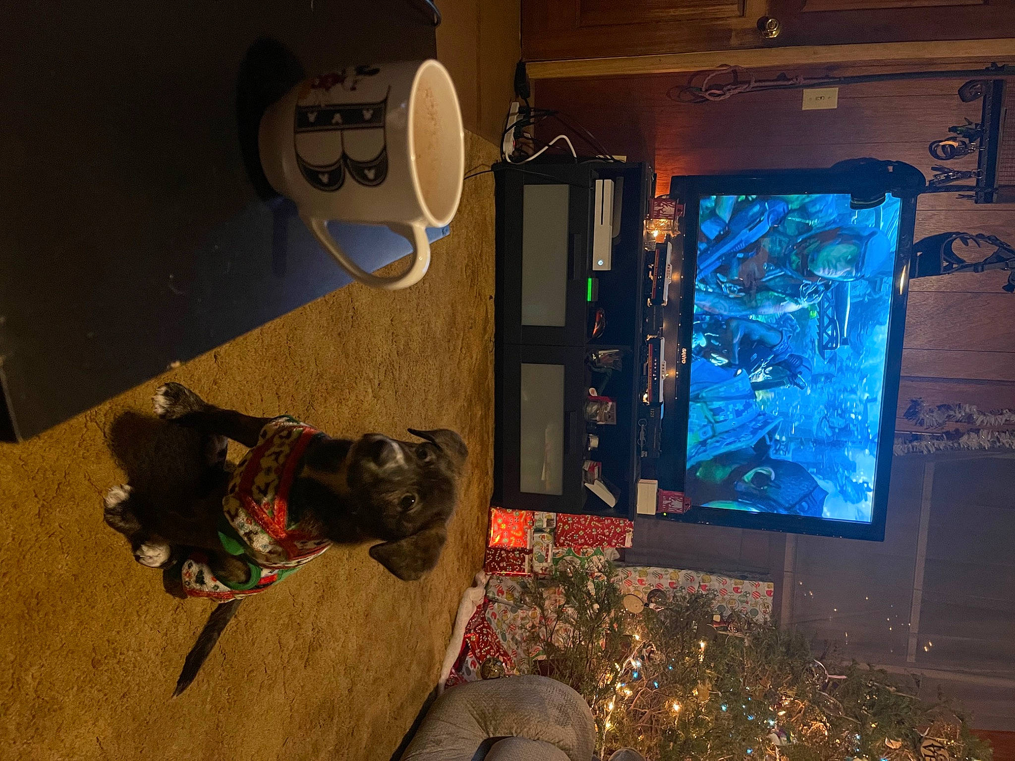 Rosco is registered to the contest to win money with this photo: art, audio_equipment, darkness, display_device, electric_blue, flat_panel_display, glass, led_backlit_lcd_display, machine, multimedia, pc_game, plant, room, shadow, space, television_set, tree, visual_arts