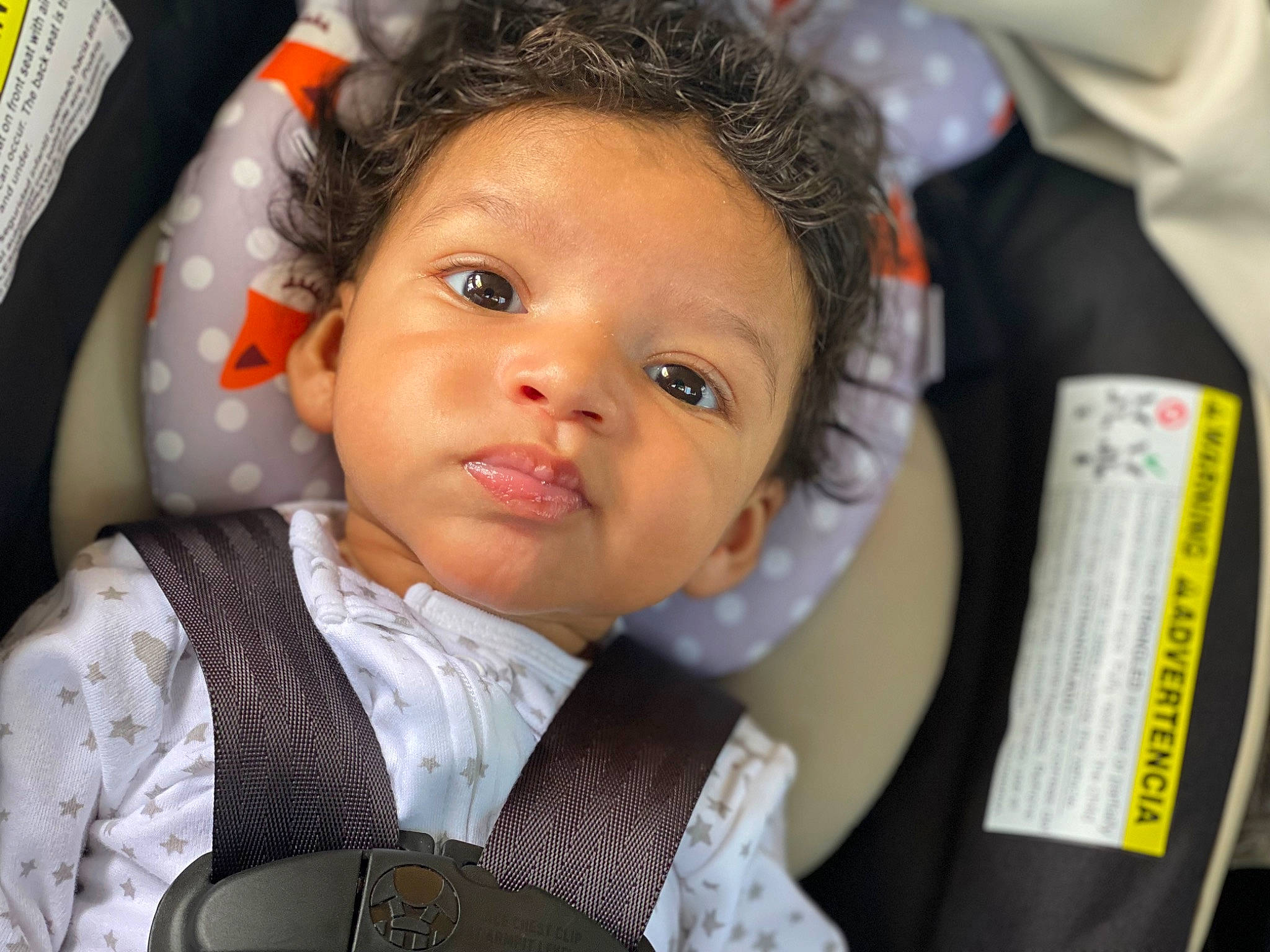 Braxtyn joined the competition — help win amazing prizes! cheek, child, chin, collar, ear, eye, eyebrow, eyelash, forehead, hair, happy, iris, lip, mouth, neck, nose, person, product, skin, sleeve