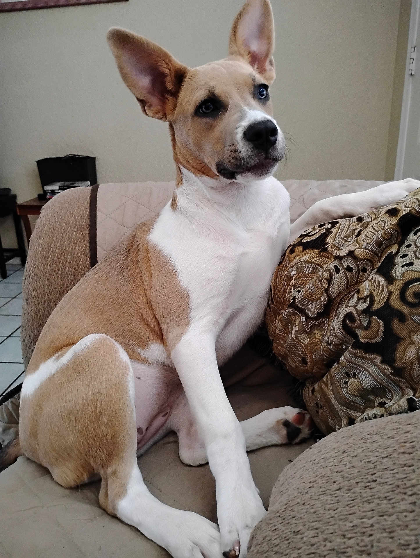 Coco