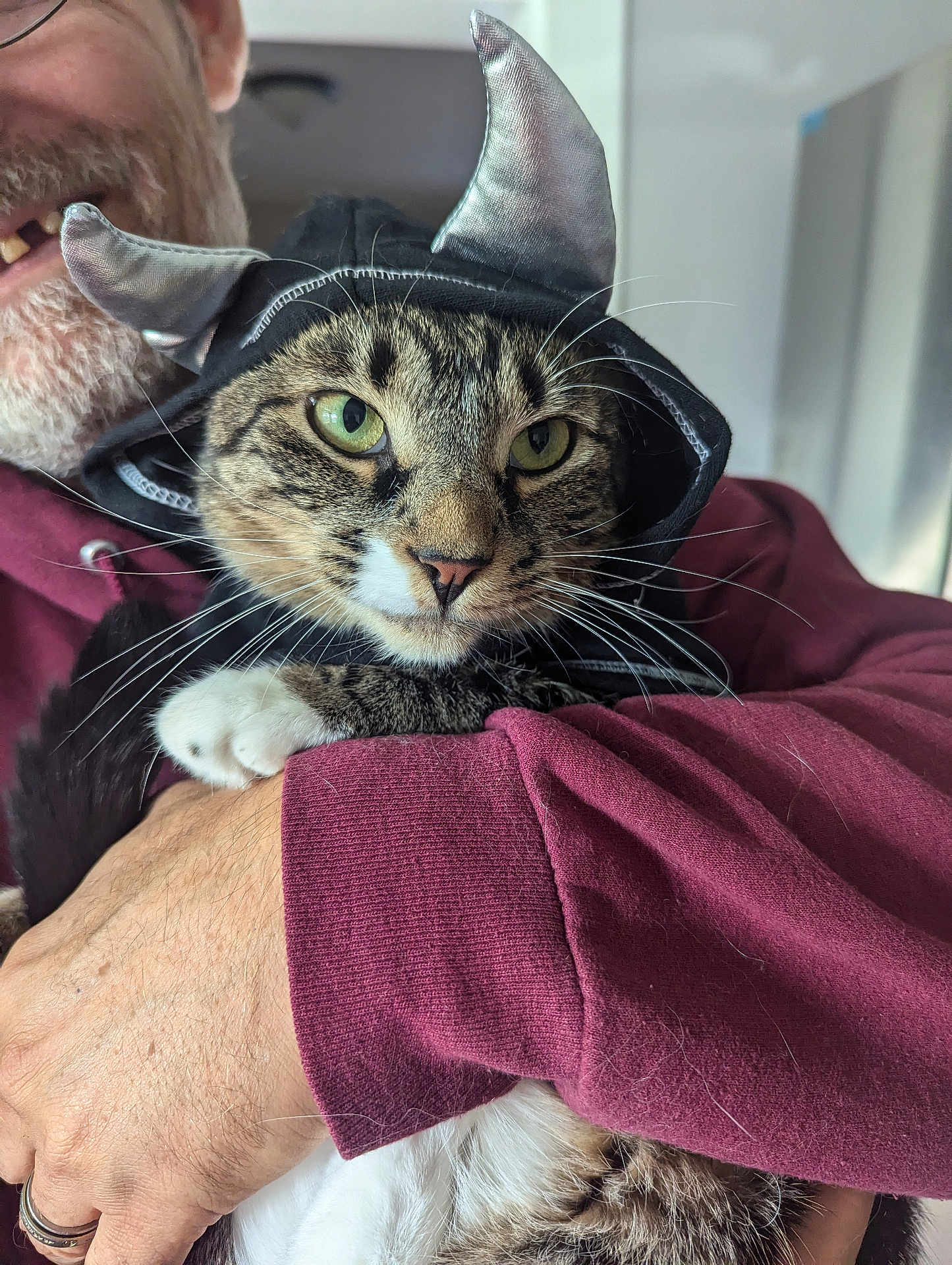 Nala