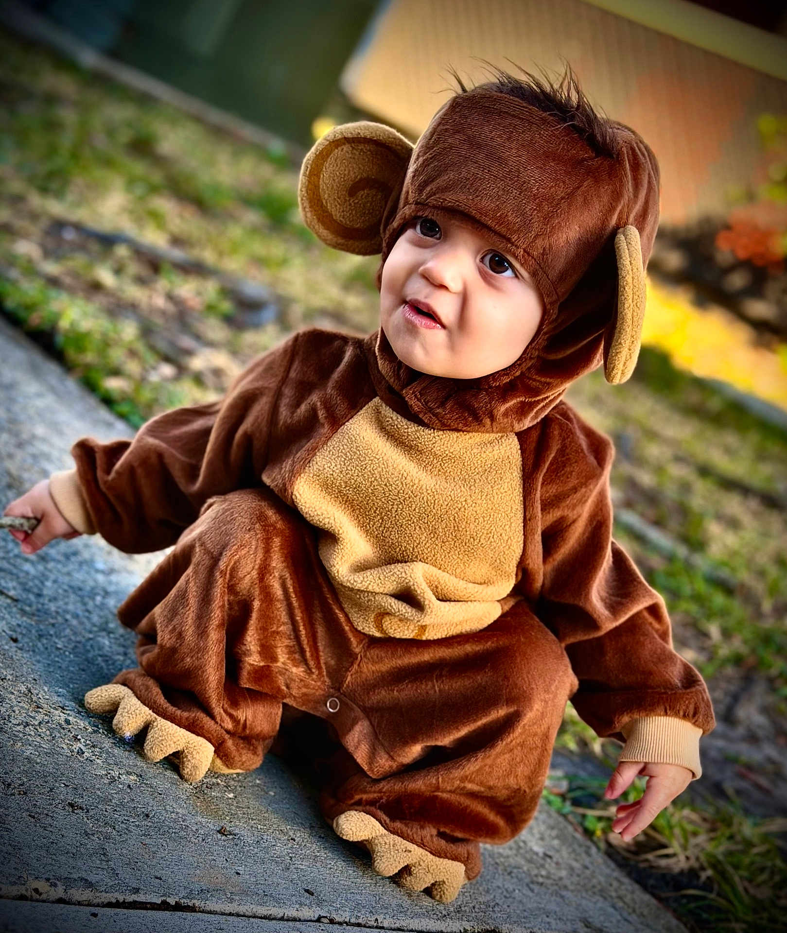 Milan joined the competition — help win amazing prizes! toddler, child, costume, monkey_costume, cute, outdoor, sidewalk, curious, brown, plush, clothing, face, eyes, expression, nature, grass, daylight, portrait, funny, baby