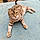 Minette