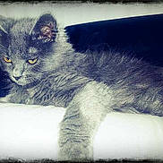 Gucci participe au concours pour gagner de l'argent avec cette photo :