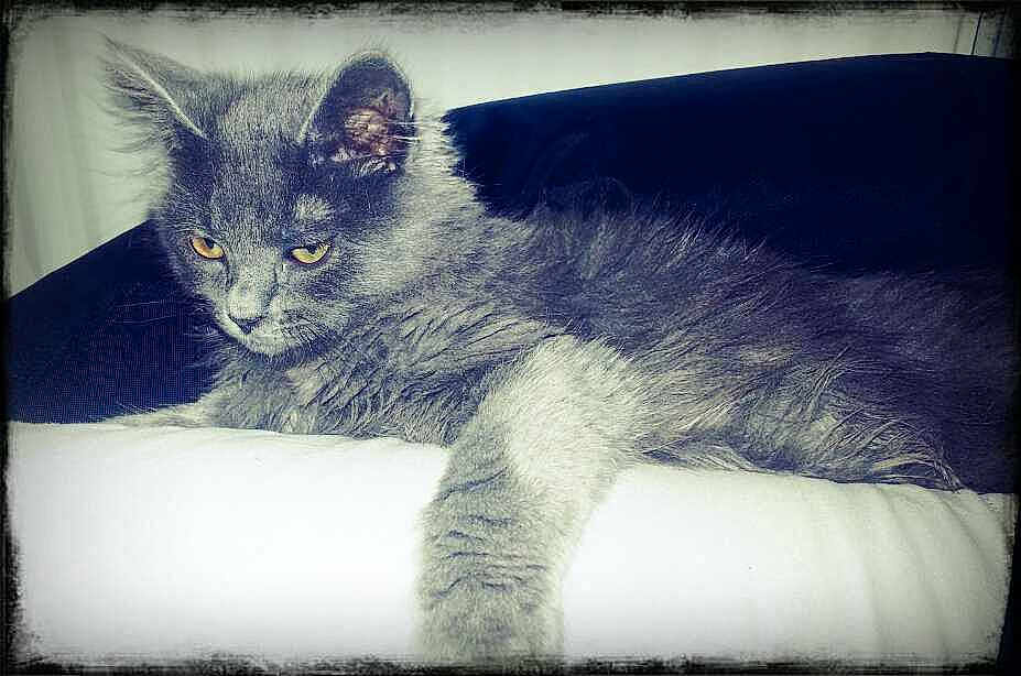 Gucci participe au concours pour gagner de l'argent avec cette photo :