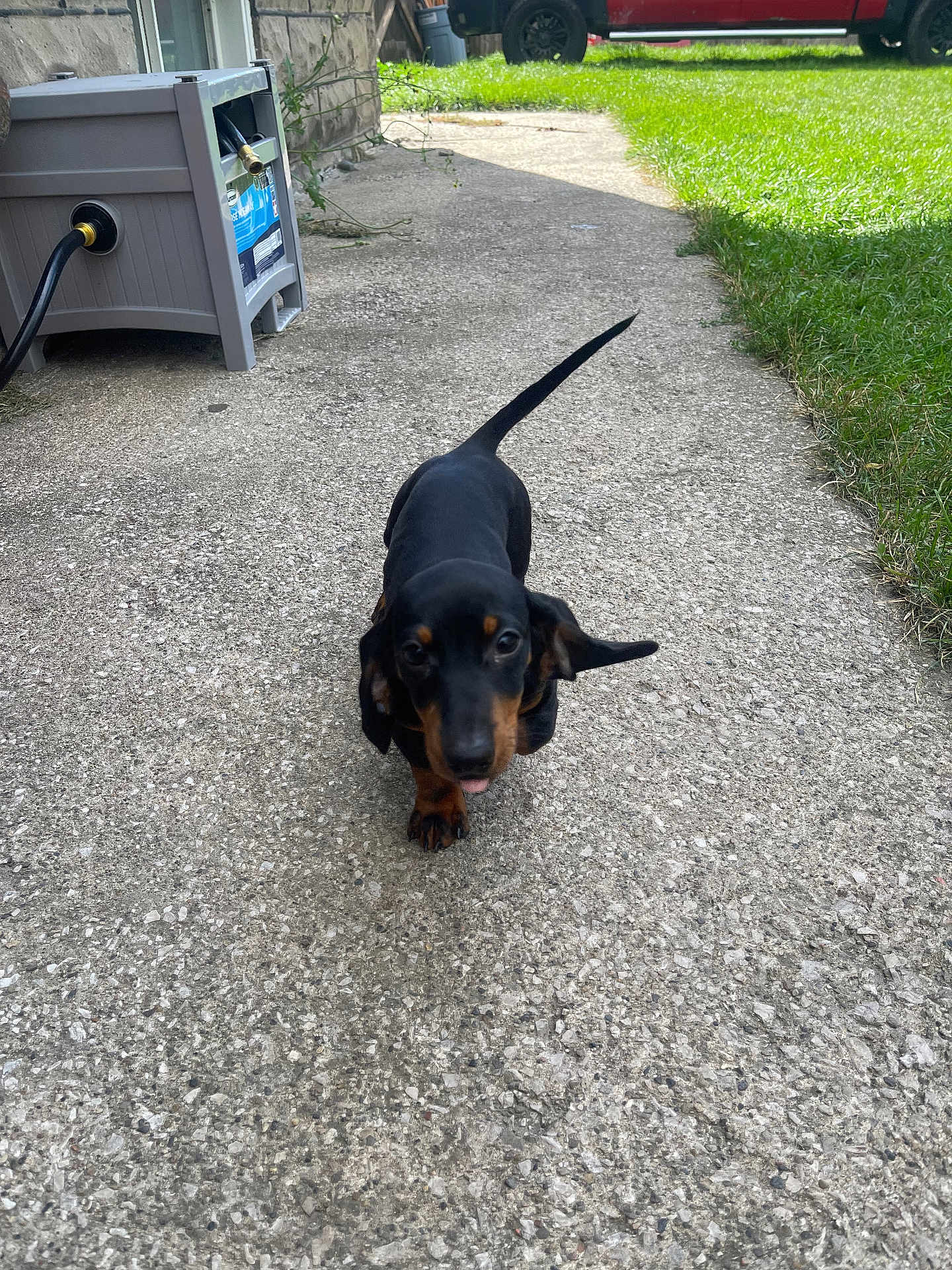Oakley