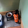 Halloween, animal, black_dog, carpet, casual, corner, costume, cozy, dog, dog_food, feeding_station, food_bowls, green_wall, indoor, kibble, orange_shirt, pet, pet_clothing, small_dog, wooden_floor