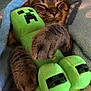 animal, blanket, cat, comfort, cozy, creeper, cute, feline, hugging, indoor, minecraft, paws, pet, plush_toy, relaxed, resting, sleeping, snuggling, soft, tabby
