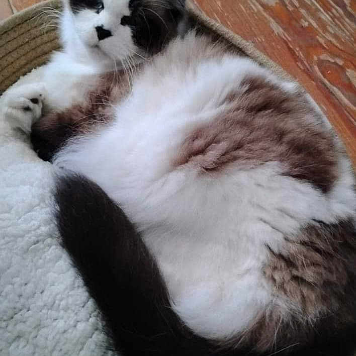 Patches