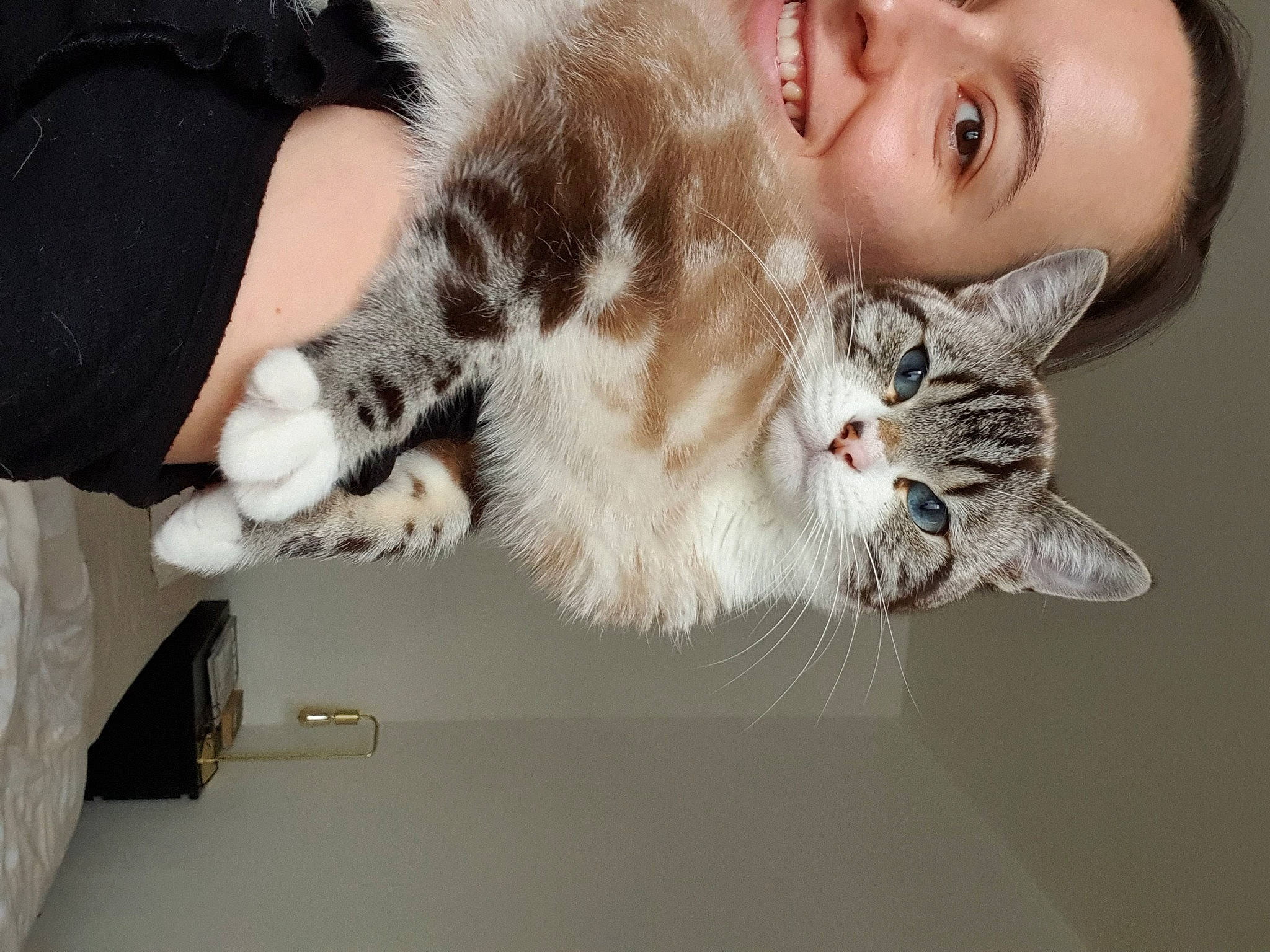 Khéops participe au concours pour gagner de l'argent avec cette photo : american_curl, american_shorthair, asian, carnivore, cat, claw, domestic_short_haired_cat, ear, european_shorthair, felidae, fur, paw, polydactyl_cat, siberian, small_to_medium_sized_cats, tabby_cat, whiskers