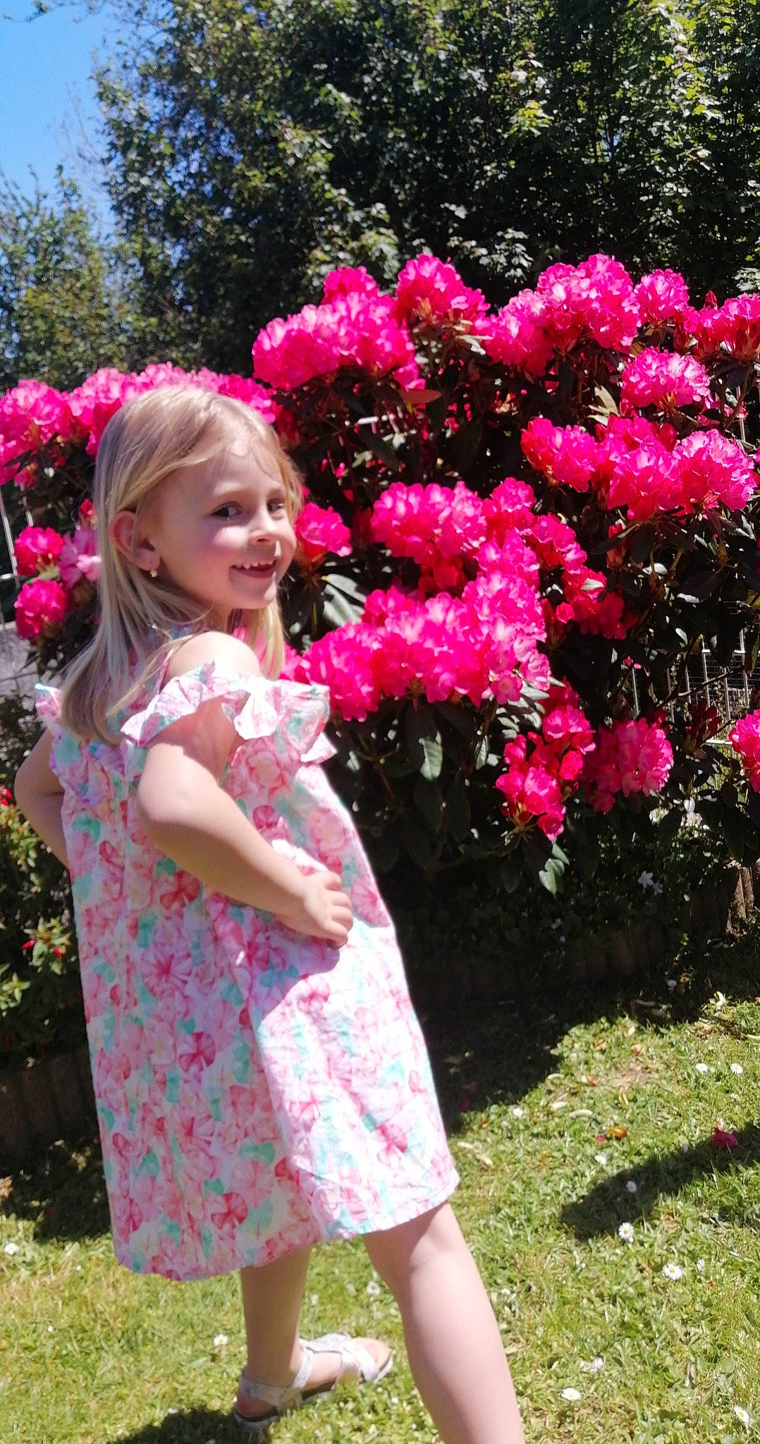 Rosie a rejoint le concours — aidez-le/la à gagner de superbes lots ! annual_plant, azalea, botany, flower, flowering_plant, garden, grass, joy, magenta, peony, person, petal, pink, plant, rhododendron, shrub, smile, spring, tree, woody_plant