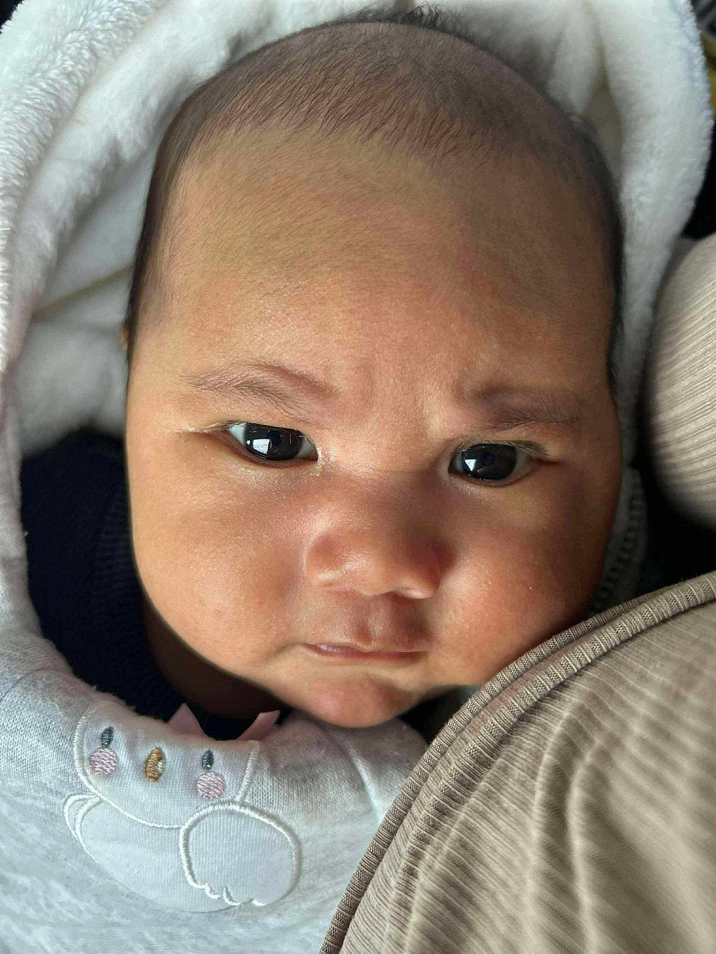 Hotukea participe au concours pour gagner de l'argent avec cette photo : baby, blanket, child, close_up, clothing, cute, expression, eyes, face, head, indoors, infant, newborn, person, portrait, skin, soft, warm, wrapped, young