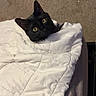 black_cat, cat, quilt, blanket, bed, cozy, indoor, pet, fur, animal, yellow_eyes, whiskers, resting, curious, warm, domestic_cat, sleepy, comfort, cute, wrapped