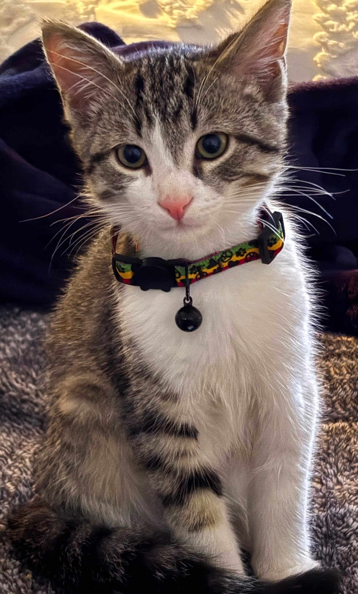 Sox