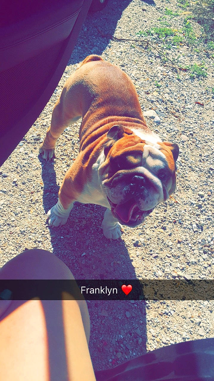 Franklyn