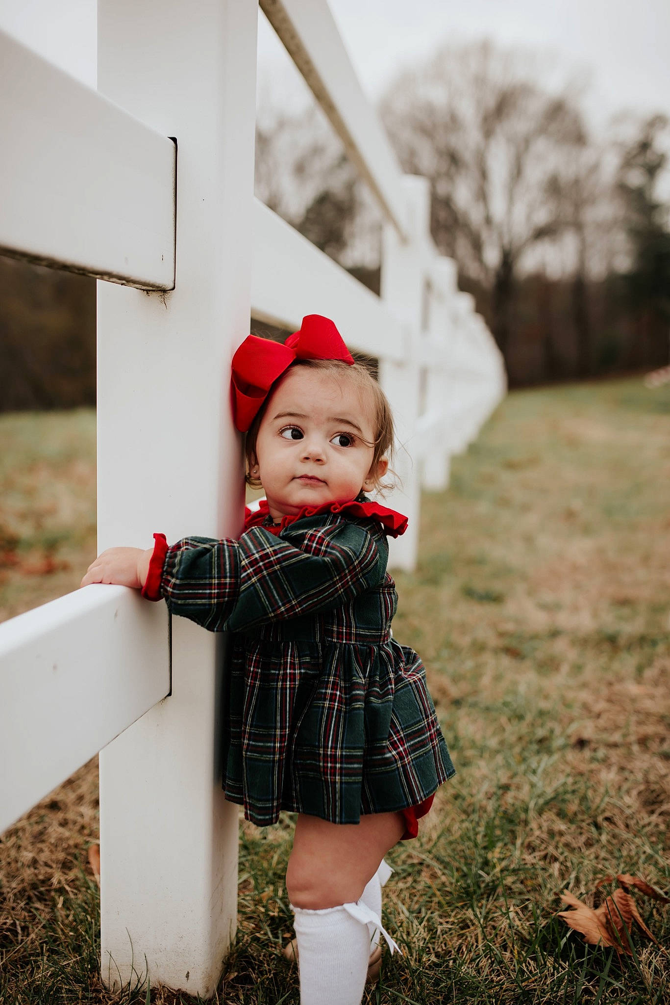 Marlee is registered to the contest to win money with this photo: child, dress, eye, face, flash_photography, grass, hand, happy, human_body, leaf, people_in_nature, person, plaid, plant, standing, tartan, toddler, toy, tree, window