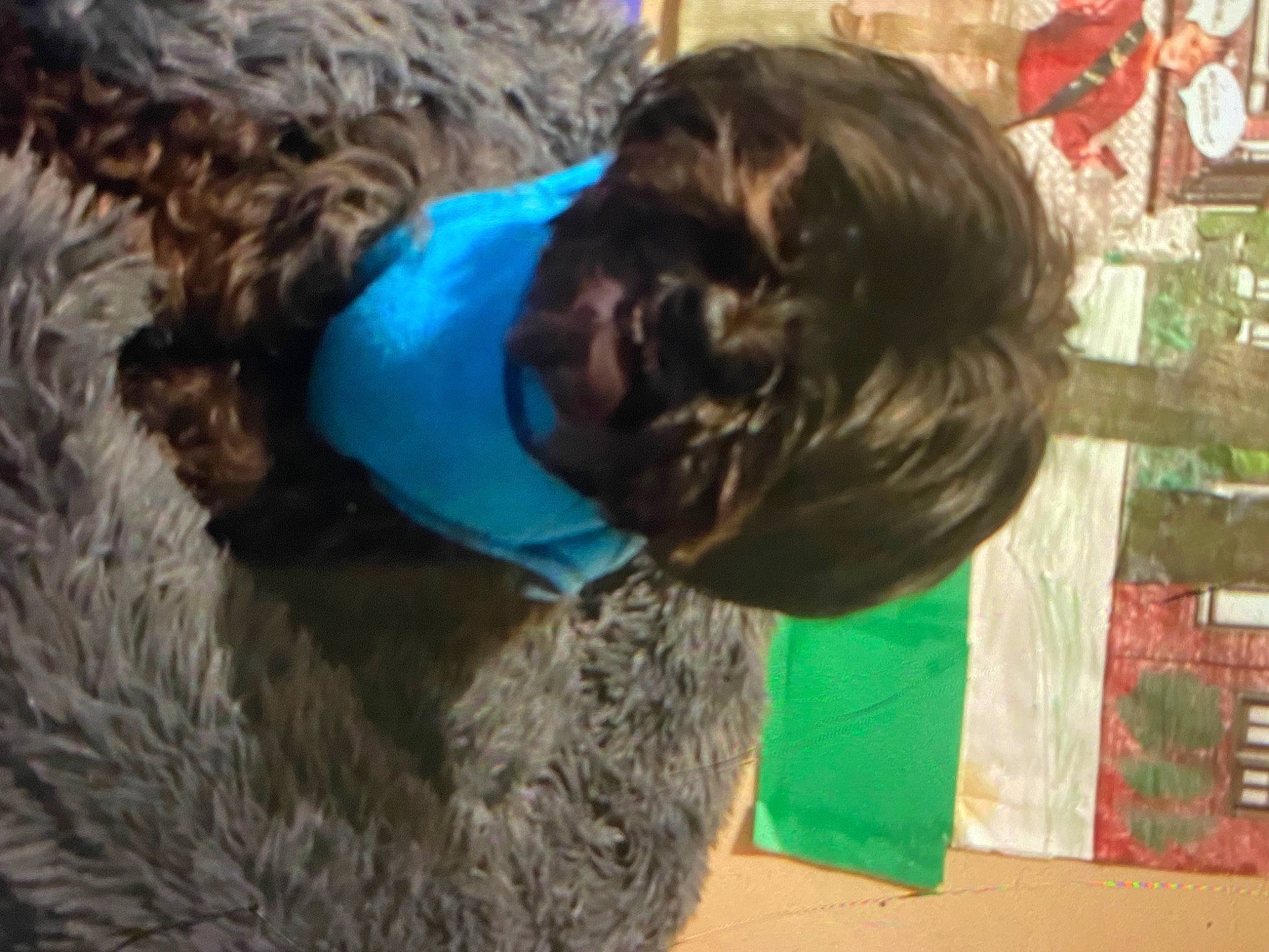 Rubby joined the competition — help win amazing prizes! electric_blue, fun, fur, fur_clothing, grass, leisure, organism, rock, soil, sporting_group, tree, visual_arts, wool