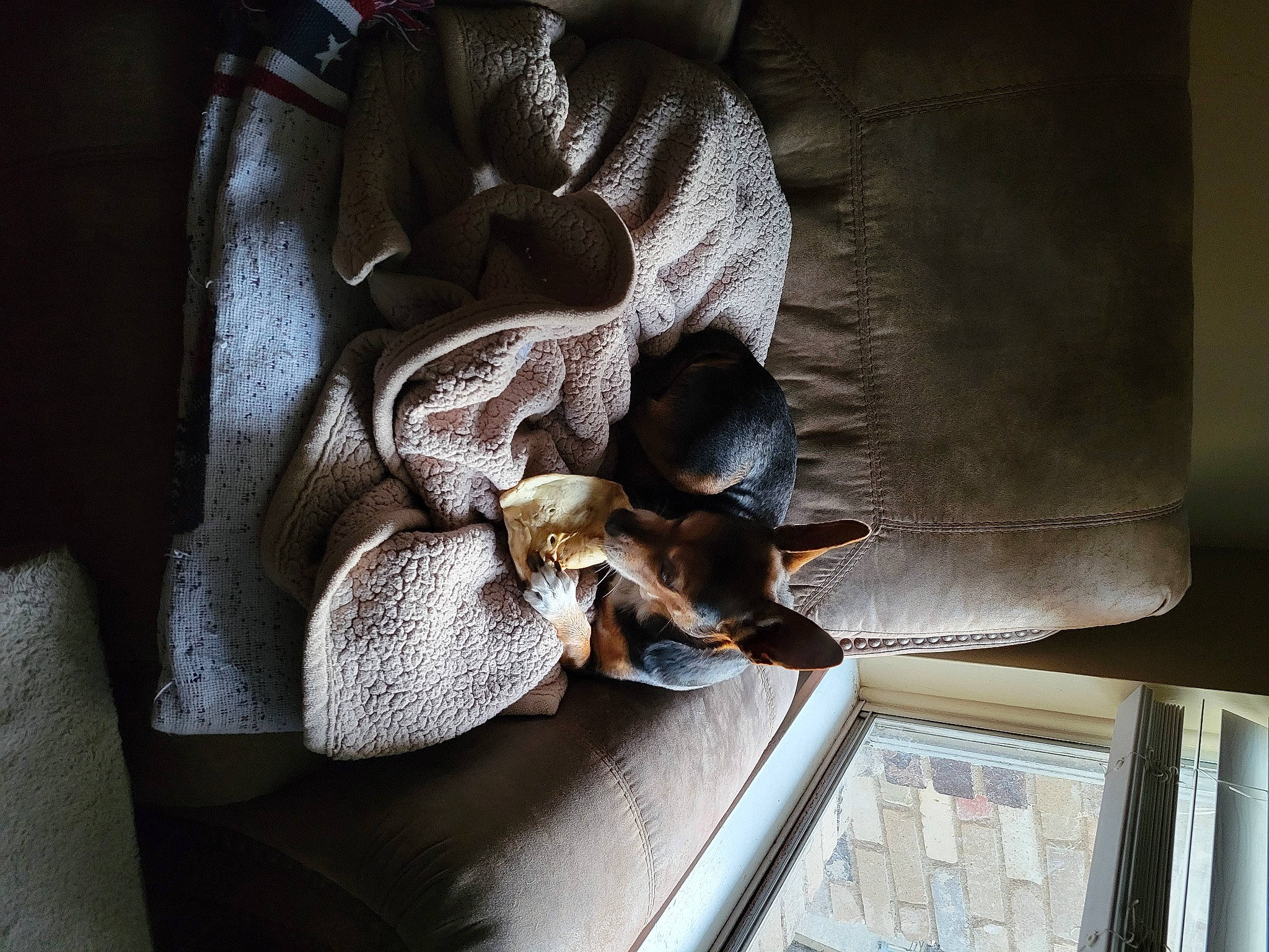 Amy joined the competition — help win amazing prizes! auto_part, bag, carnivore, chair, comfort, companion_dog, dog, fashion_accessory, luggage_and_bags, metal, pattern, room, tints_and_shades, window, wood