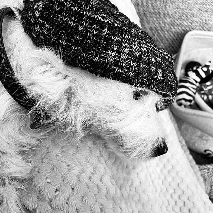 Casper