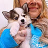 Bear joined the competition — help win amazing prizes! woman, person, puppy, dog, husky, animal, pet, selfie, portrait, smiling, cuddling, fluffy, blue_eyes, paws, fur, long_hair, blonde_hair, blue_sweater, indoors, window