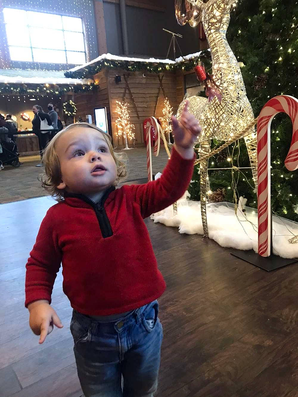 Bodie is registered to the contest to win money with this photo: christmas, christmas_decoration, christmas_ornament, event, flooring, fun, happy, holiday, jeans, leisure, mammal, organ, person, photograph, plant, snapshot, standing, surprise, toddler, tradition