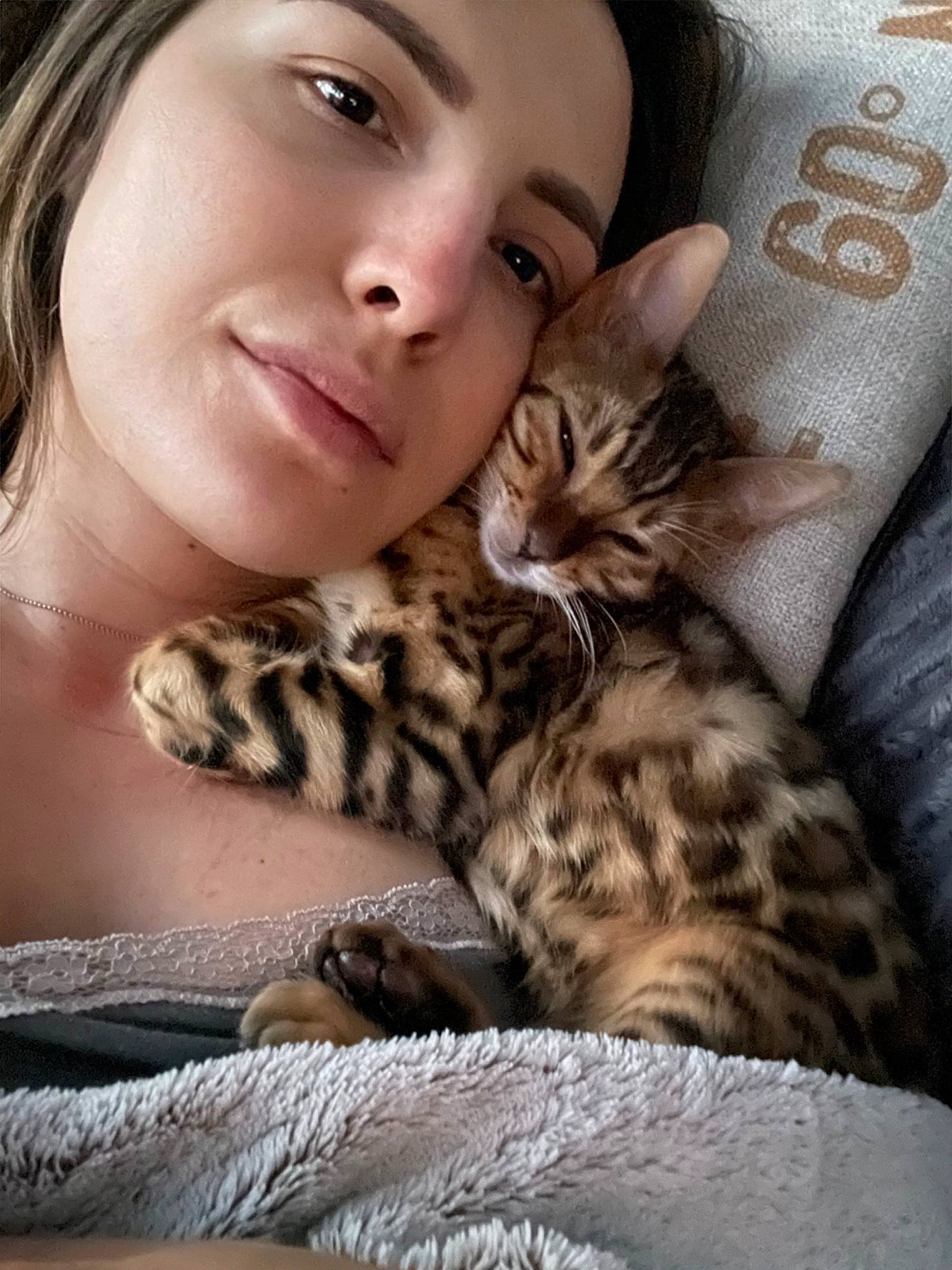 Tallinn a rejoint le concours — aidez-le/la à gagner de superbes lots ! bed, blond, brown_hair, carnivore, cat, comfort, domestic_short_haired_cat, ear, eye, eyelash, fawn, felidae, fur, mammal, sitting, skin, small_to_medium_sized_cats, smile, whiskers, wildlife