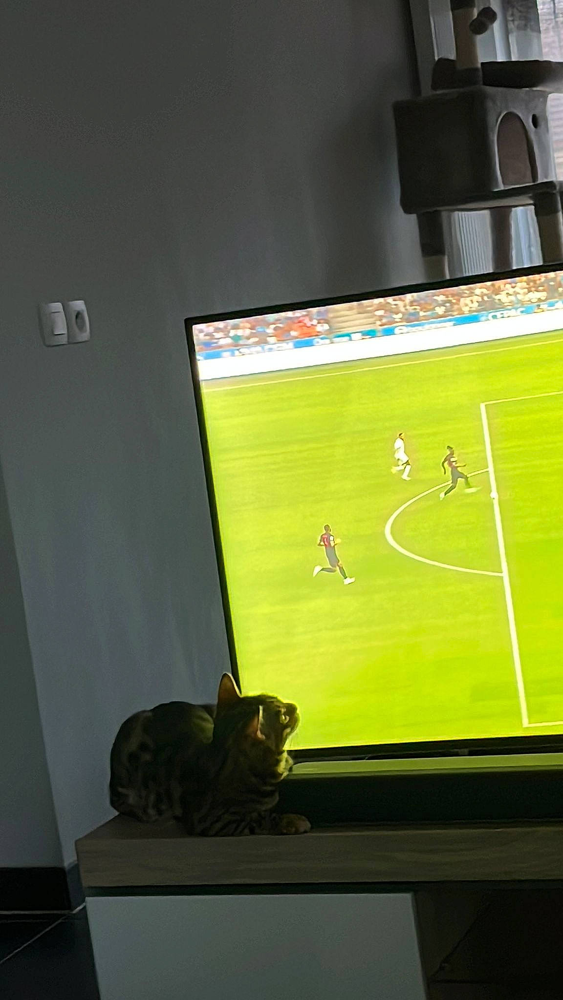 Tokyo participe au concours pour gagner de l'argent avec cette photo : competition_event, display_device, flat_panel_display, gadget, grass, led_backlit_lcd_display, multimedia, net, output_device, personal_computer, player, rectangle, soccer, soccer_player, sport_venue, sports, sports_equipment, television, television_set, tournament