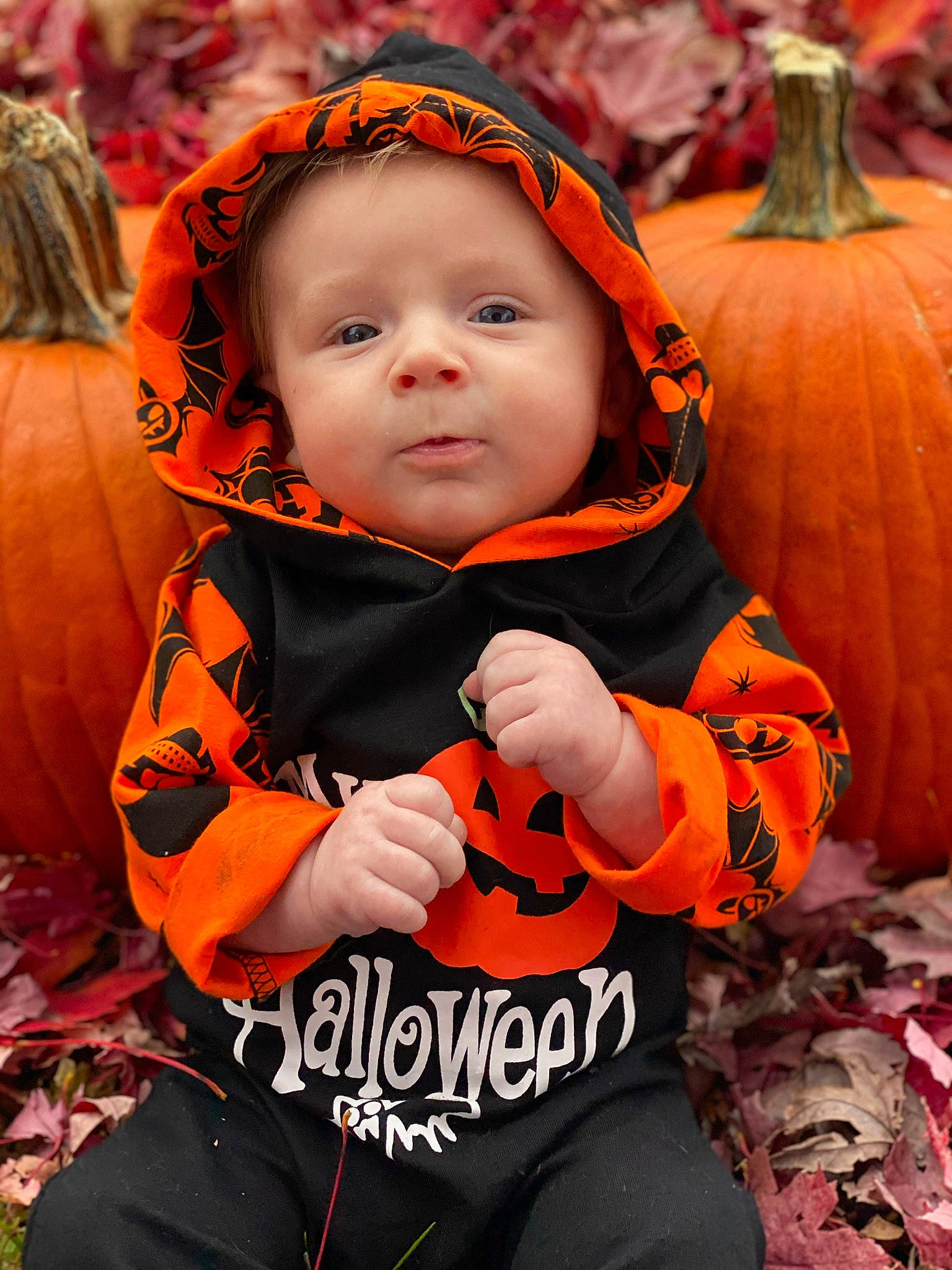 Eastyn is registered to the contest to win money with this photo: baby, baby_toddler_clothing, calabaza, cucurbita, eye, fruit, fun, gourd, grass, happy, headwear, natural_foods, orange, people_in_nature, person, plant, pumpkin, squash, toddler, trick_or_treat