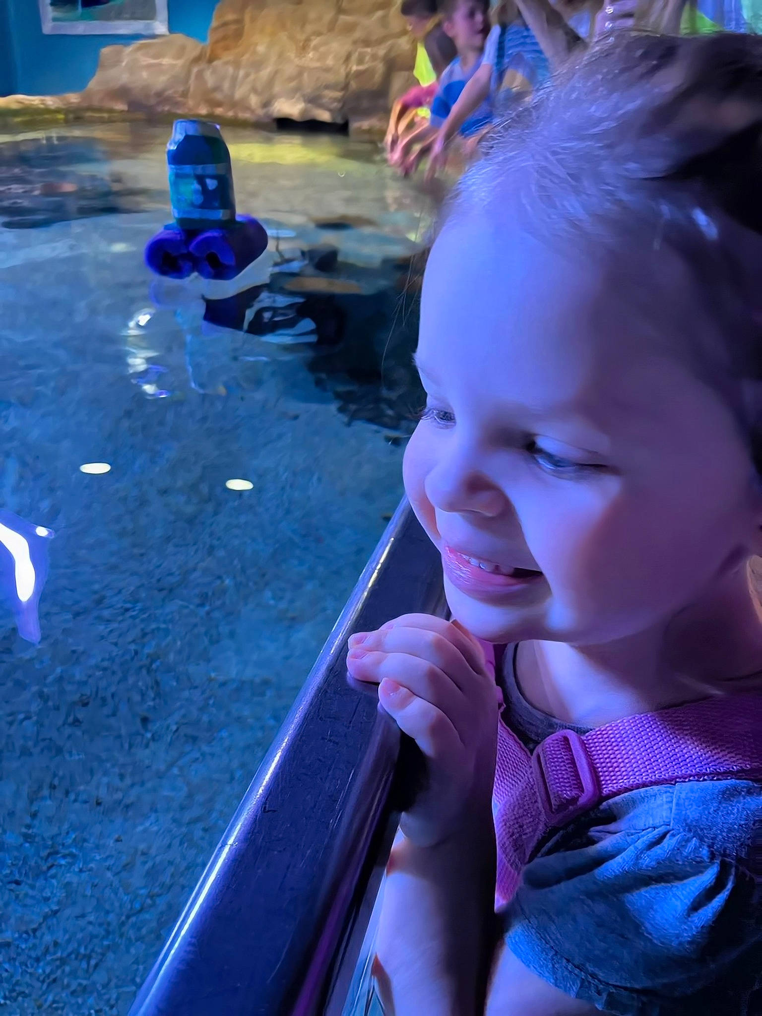 Dixie is registered to the contest to win money with this photo: blue, child, cool, electric_blue, event, fun, grass, happy, leisure, magenta, person, pink, play, public_space, purple, recreation, smile, toddler, vacation, violet