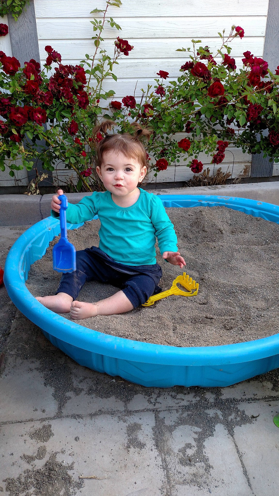 Rhys is registered to the contest to win money with this photo: annual_plant, baby, baby_toddler_clothing, child, clothing, electric_blue, flower, flowerpot, fun, garden, grass, houseplant, leisure, person, plant, recreation, shorts, sitting, t_shirt, toddler