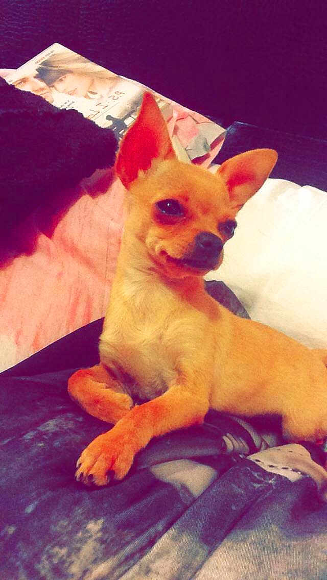 Clohé