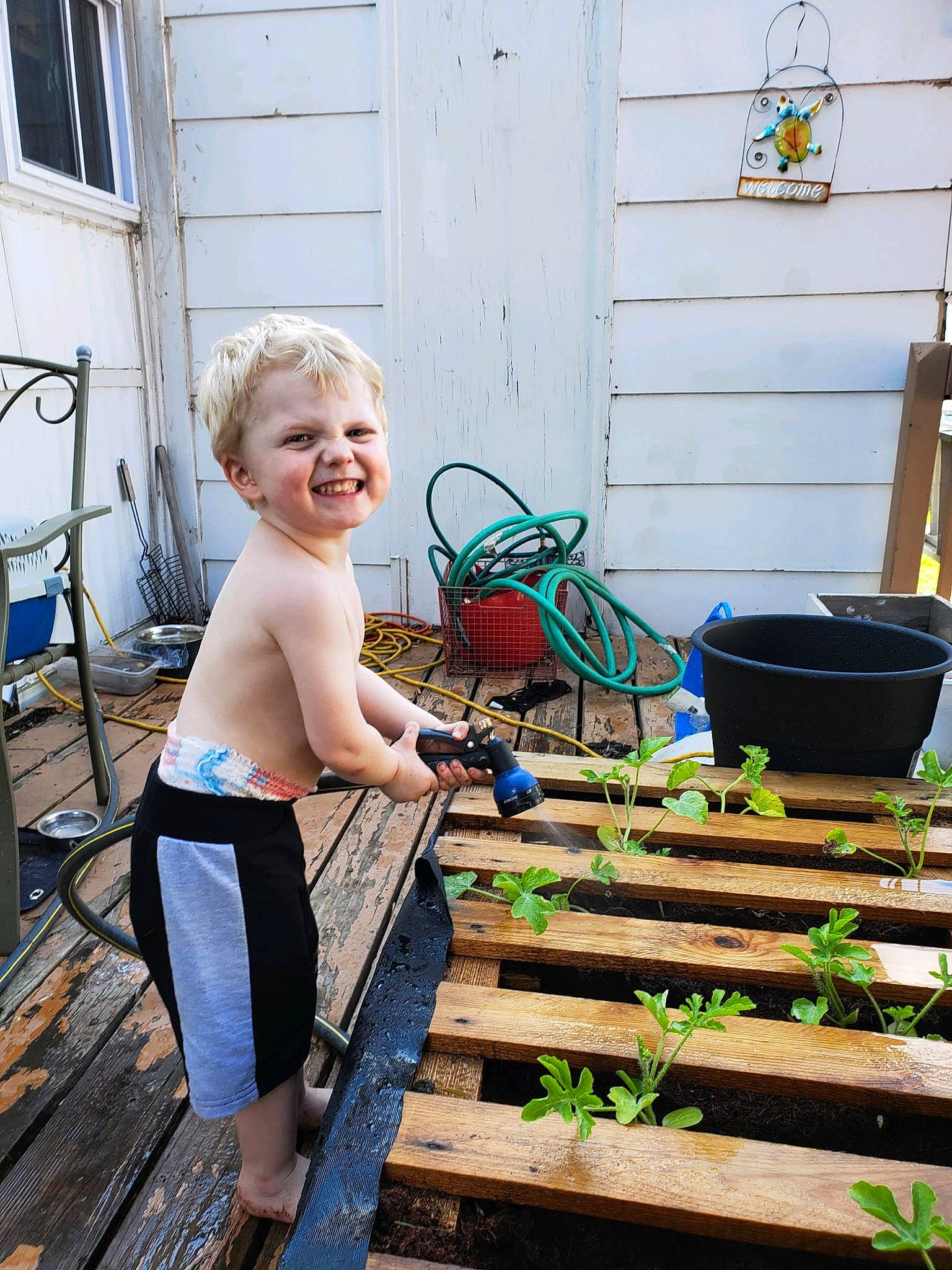 Chaz is registered to the contest to win money with this photo: backyard, bucket, child, garden, joy, person, plant, vacation, yard