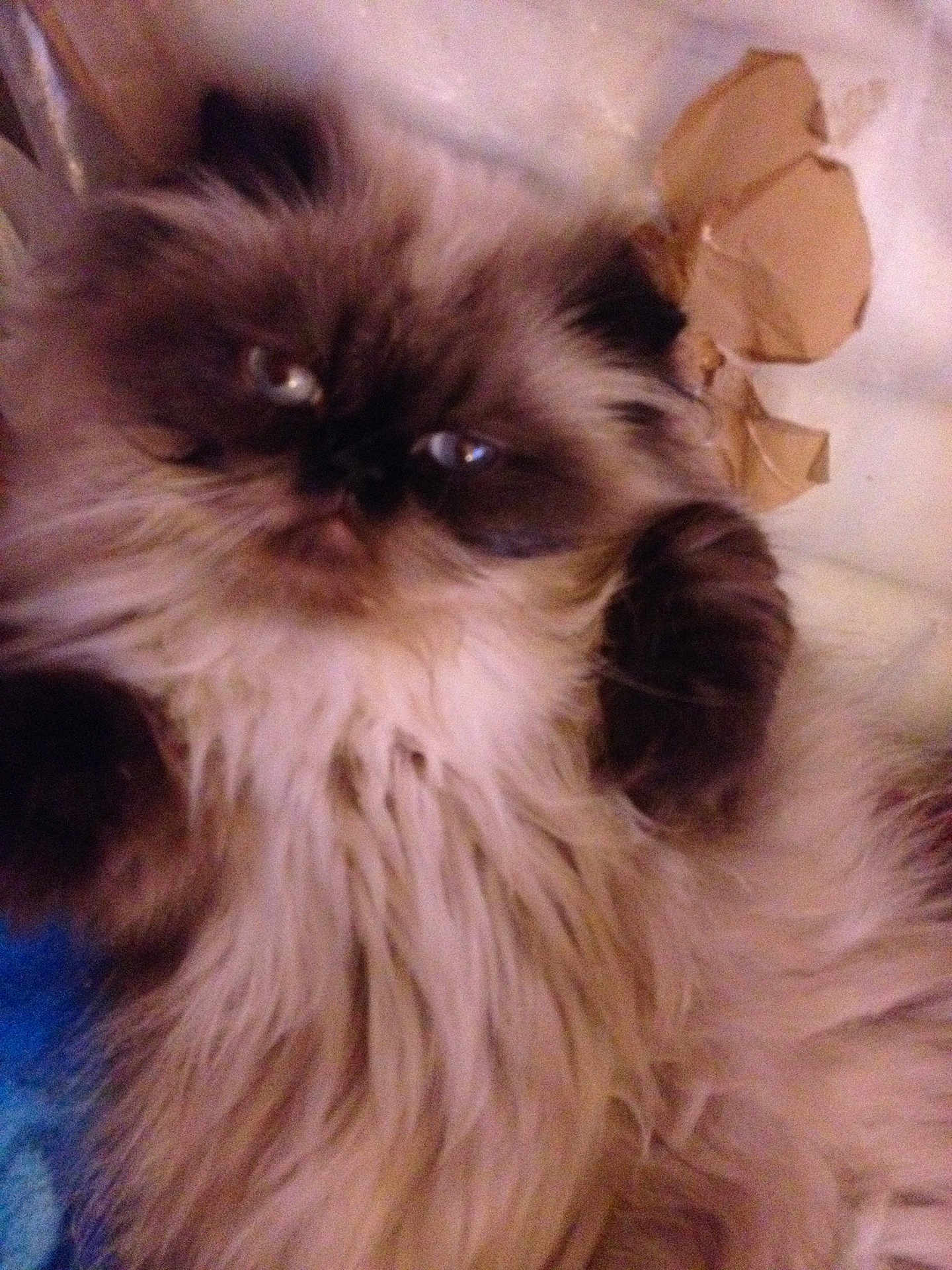 Ella