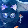 Sir Flooferpoof is registered to the contest to win money with this photo: art, azure, carnivore, cat, electric_blue, eyewear, felidae, fictional_character, font, fur, graphics, paint, pattern, purple, small_to_medium_sized_cats, snout, tail, tints_and_shades, visual_arts, whiskers