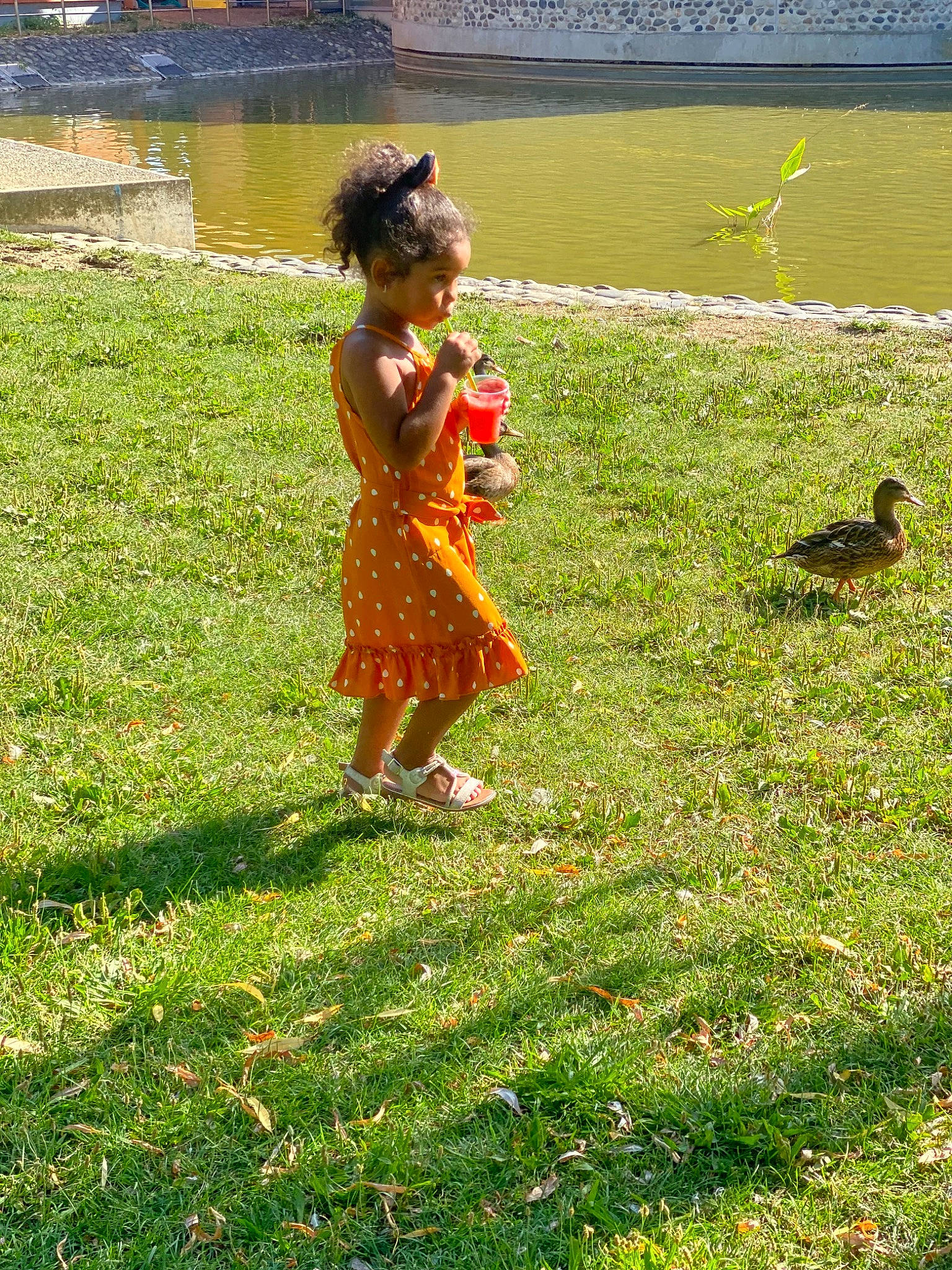 Kehlanie a rejoint le concours — aidez-le/la à gagner de superbes lots ! bird, event, fun, garden, grass, grass_family, grassland, groundcover, happy, lake, lawn, leisure, meadow, natural_landscape, people_in_nature, person, plant, recreation, toddler, tree