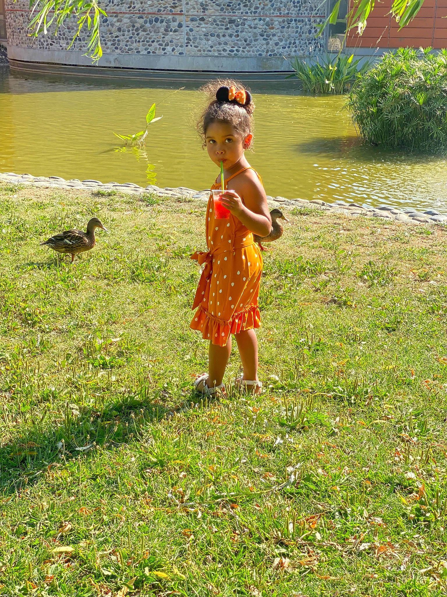 Kehlanie a rejoint le concours — aidez-le/la à gagner de superbes lots ! bird, botany, fawn, fun, garden, grass, grass_family, grassland, groundcover, happy, landscape, lawn, leisure, meadow, people_in_nature, person, plant, recreation, shrub, toddler