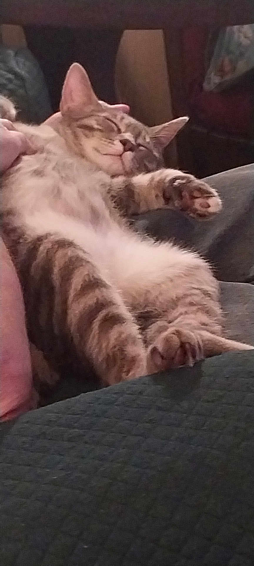 Mia