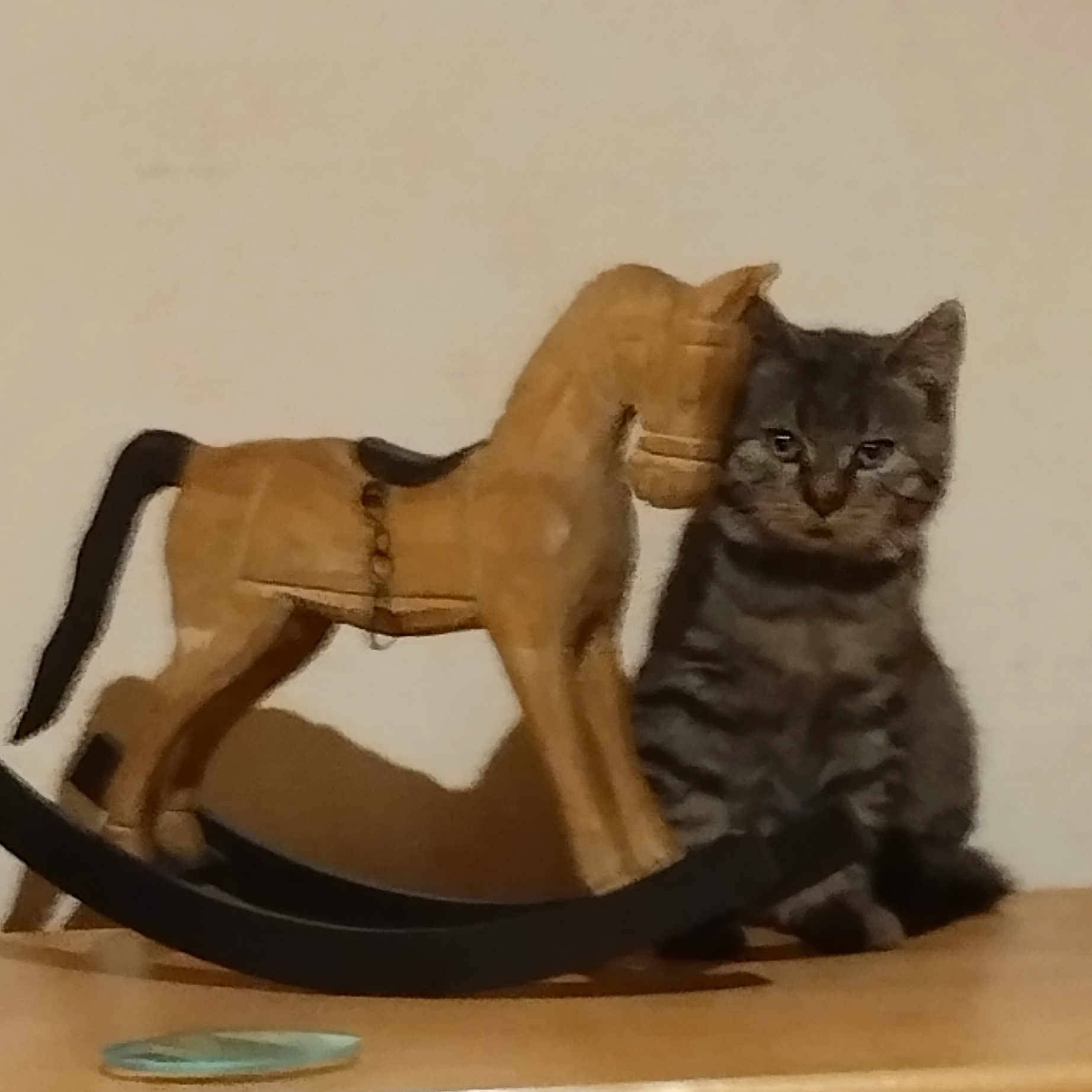 Tiboo