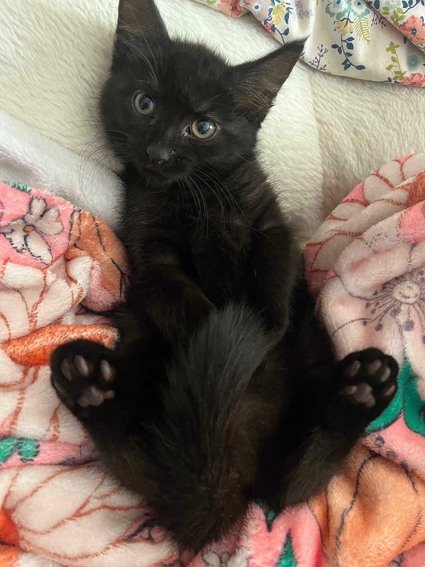 Salem