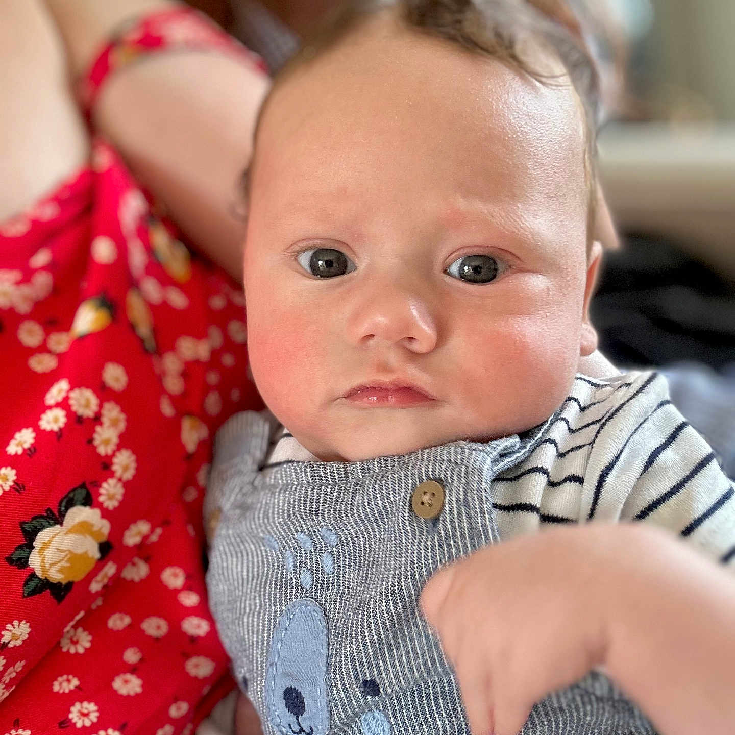 Lucas joined the competition — help win amazing prizes! baby, child, closeup, clothing, cute, eyes, face, floral_dress, hand, holding, indoor, infant, overalls, person, portrait, red_clothing, skin, soft_focus, striped_clothing, warm_lighting
