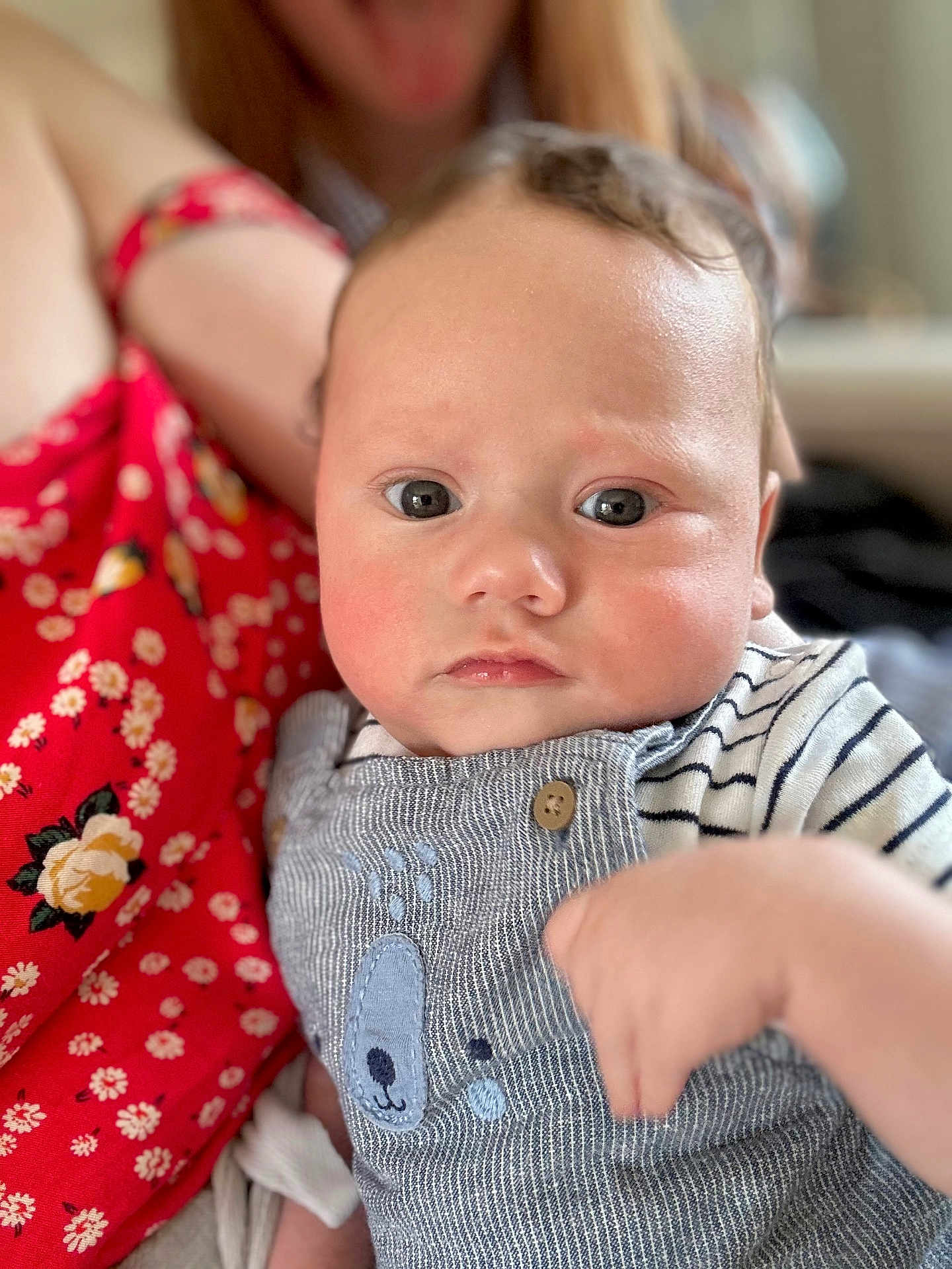 Lucas joined the competition — help win amazing prizes! baby, child, person, face, eyes, clothing, striped_clothing, overalls, hand, floral_dress, red_clothing, skin, portrait, indoor, closeup, cute, infant, holding, soft_focus, warm_lighting