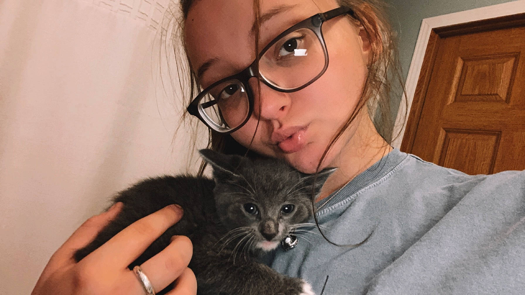 Binxy joined the competition — help win amazing prizes! carnivore, cat, comfort, couch, ear, eye, eyelash, eyewear, fawn, felidae, finger, gesture, glasses, hand, iris, nose, organ, small_to_medium_sized_cats, vision_care, whiskers