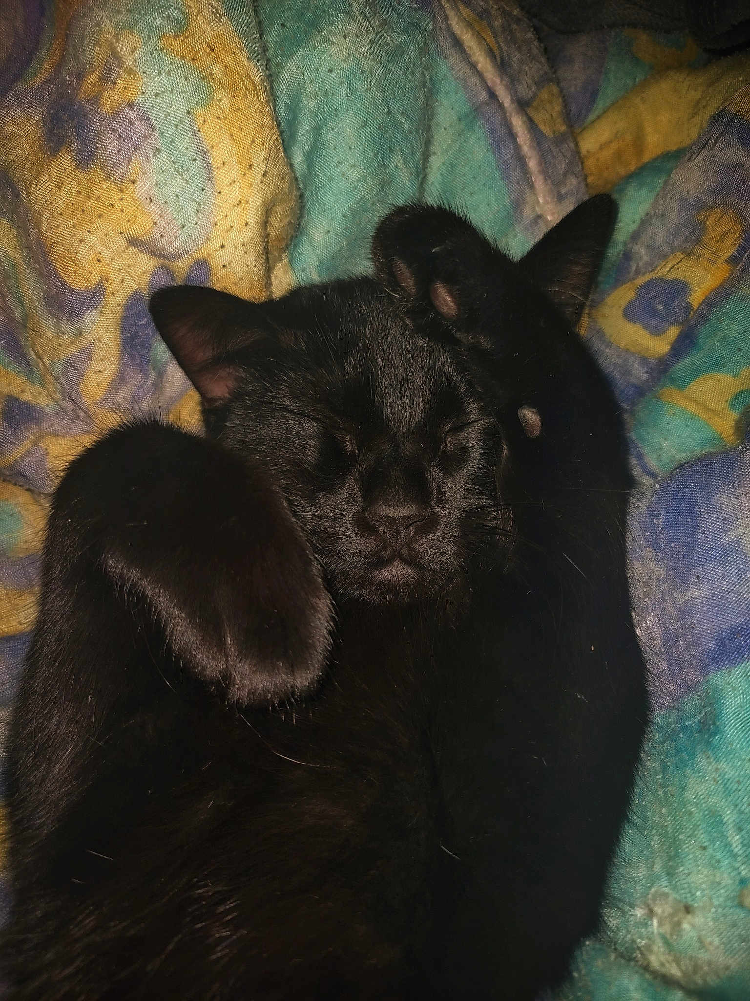 Bruce