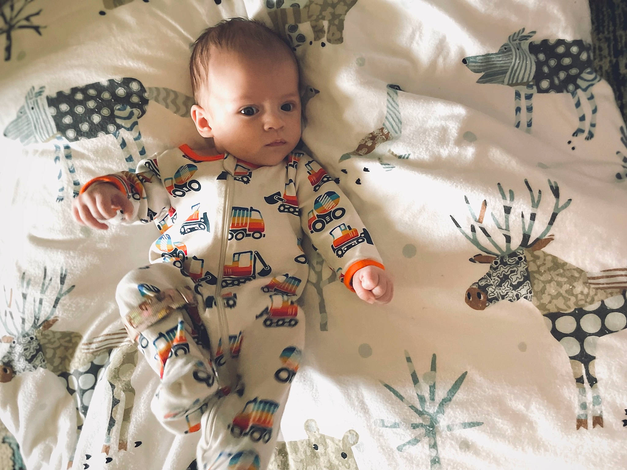 Kayson joined the competition — help win amazing prizes! art, baby, baby_toddler_clothing, child, christmas_ornament, event, happy, head, linens, pattern, person, product, room, sleeve, stuffed_toy, textile, toddler, twig, vertebrate, visual_arts