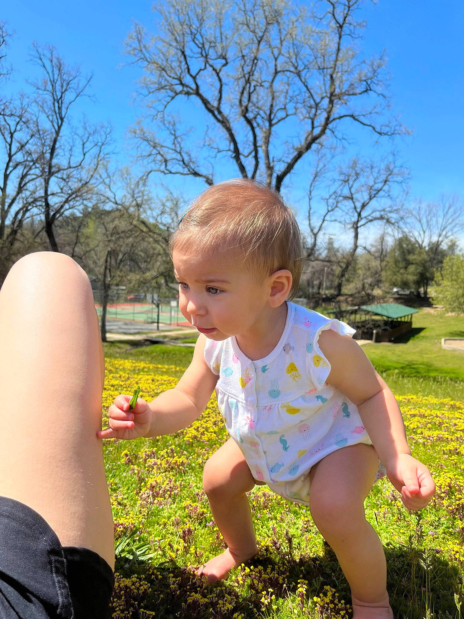 Harper joined the competition — help win amazing prizes! baby_toddler_clothing, child, finger, fun, gesture, grass, grass_family, happy, lawn, leg, leisure, meadow, people_in_nature, person, plant, recreation, sky, standing, sunlight, toddler