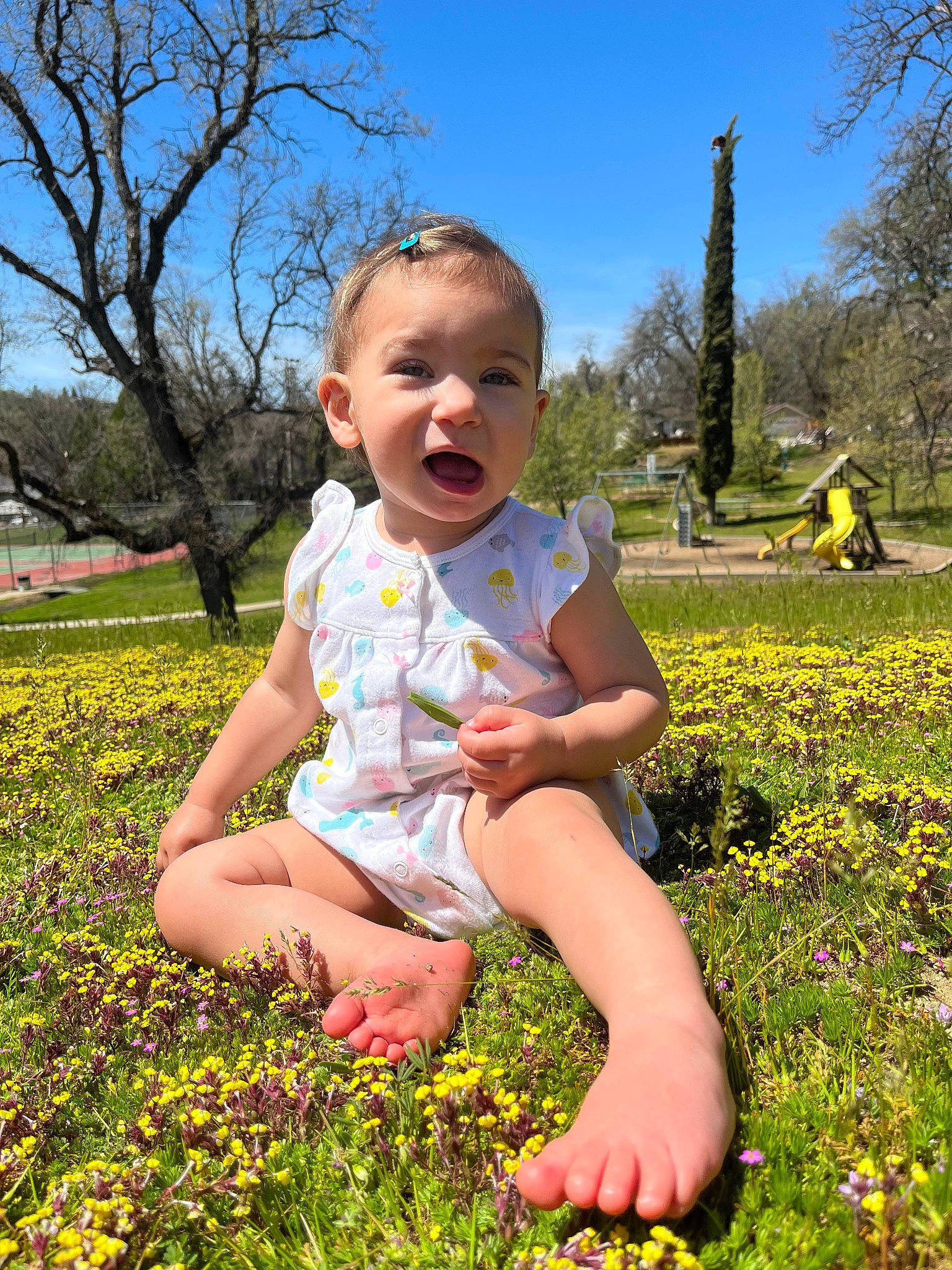 Harper is registered to the contest to win money with this photo: baby, baby_toddler_clothing, botany, grass, green, groundcover, happy, leaf, leisure, meadow, nature, people_in_nature, person, photograph, plant, sky, summer, sunlight, toddler, tree