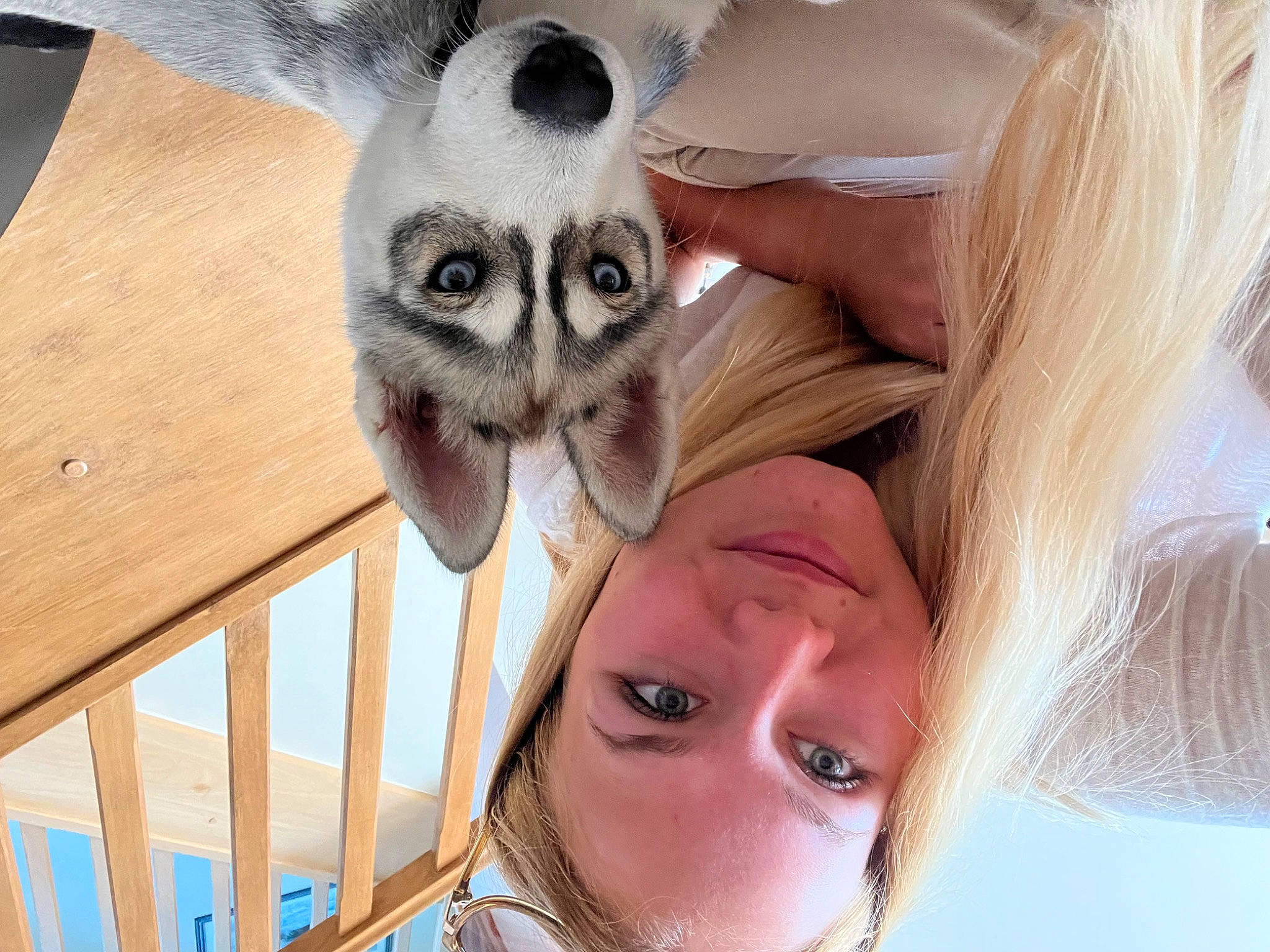 Tynka a rejoint le concours — aidez-le/la à gagner de superbes lots ! ear, eye, eyelash, fawn, felidae, fun, gesture, happy, iris, neck, nose, organ, photograph, selfie, skin, snapshot, sunglasses, whiskers, white, wood