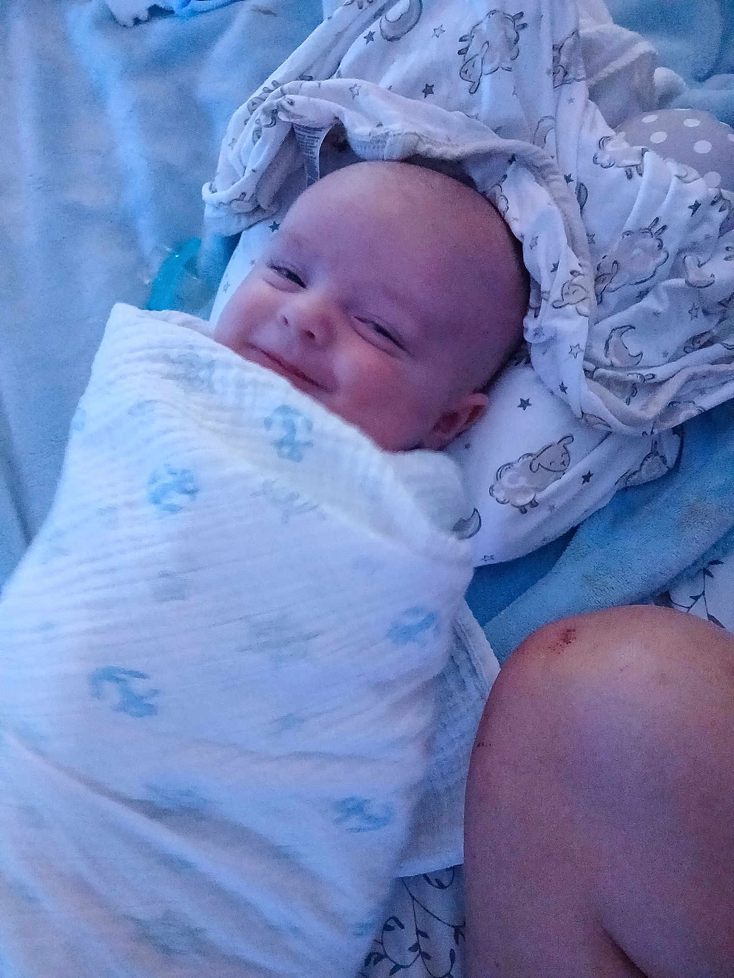 Reagen is registered to the contest to win money with this photo: baby, infant, blanket, smile, bed, bedding, patterned_sheet, blue, white, person, child, cute, face, head, skin, lying_down, soft_lighting, cozy, wrapped, happy