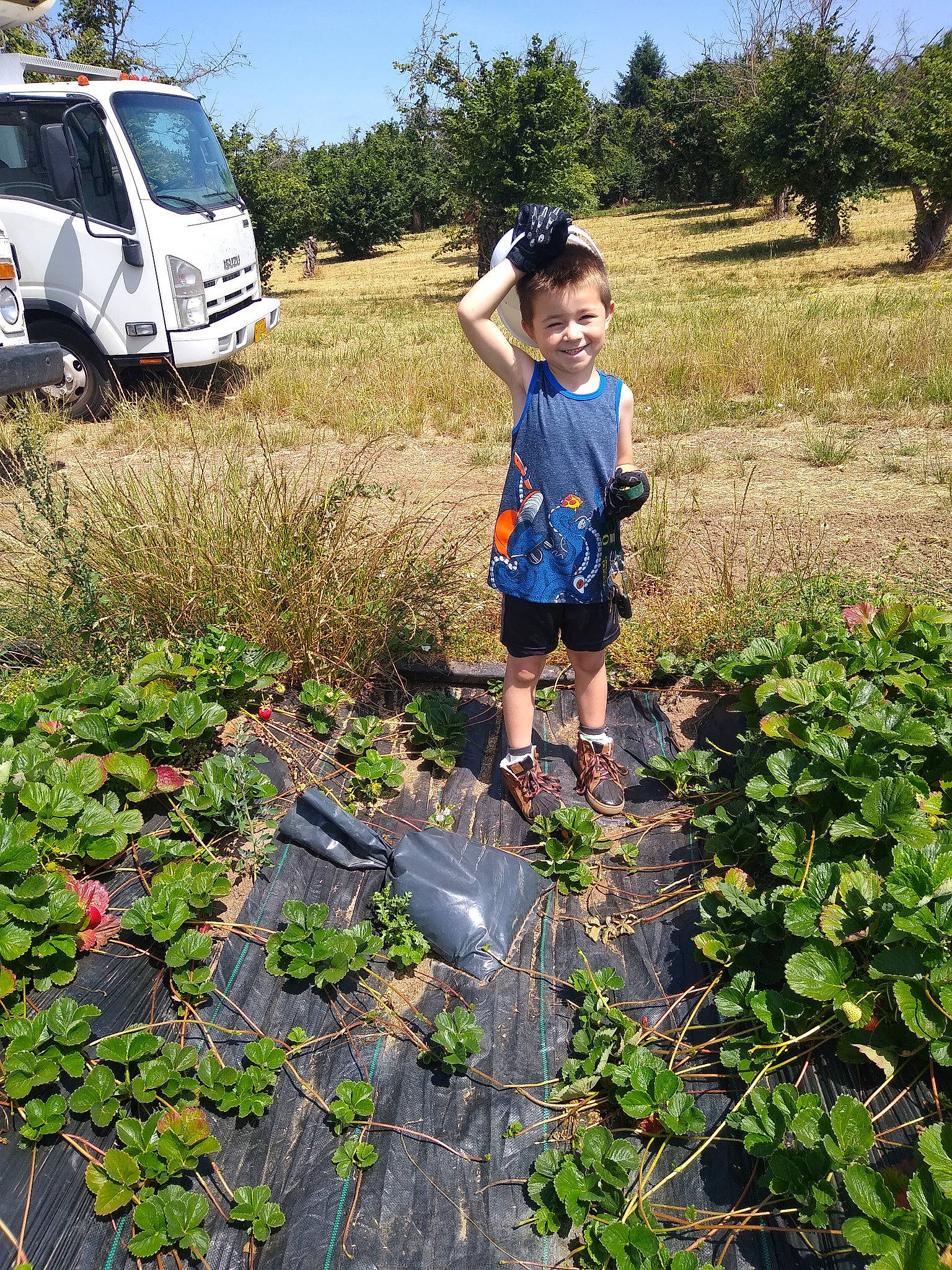 Remy is registered to the contest to win money with this photo: child, farm, grass, joy, person, plant, plant_community, recreation, soil, tree, vehicle
