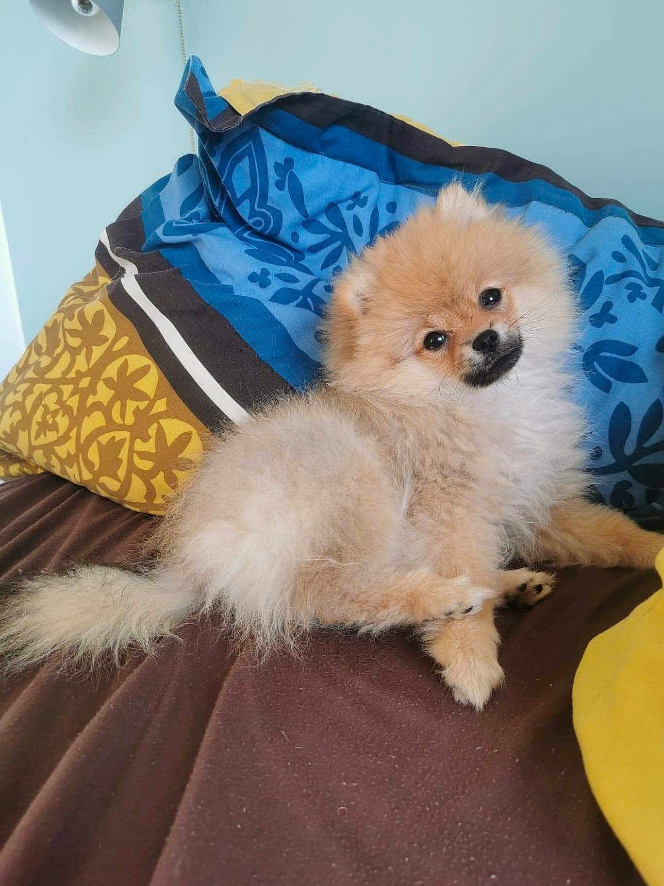 Toska